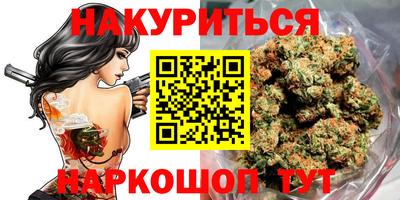 spice Бердск
