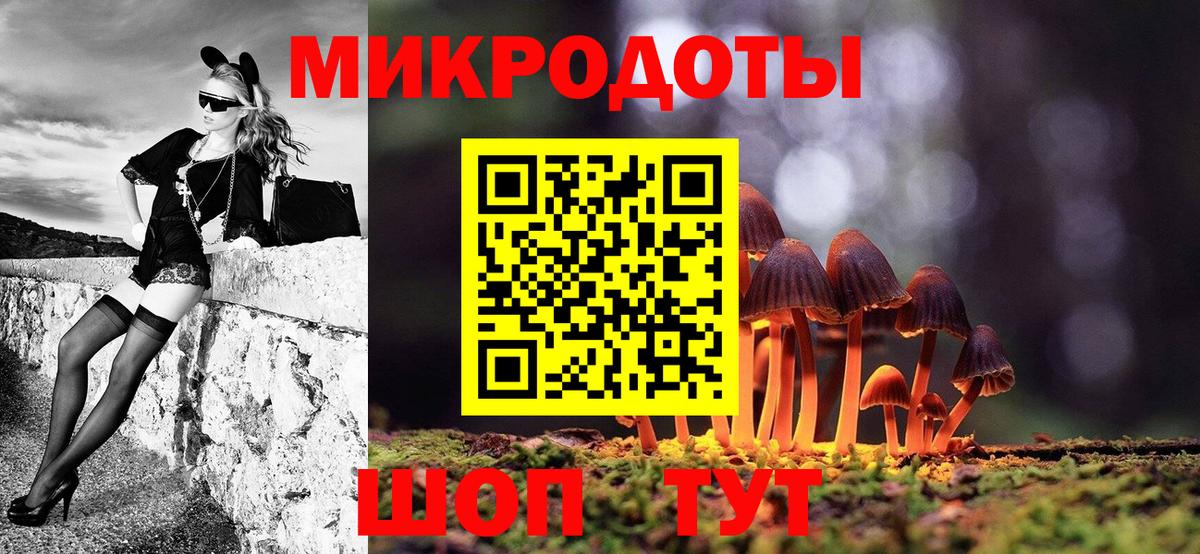 Кизляр  Псилоцибиновые грибы Magic Shrooms  где купить наркоту  Галлюциногенные грибы мицелий  Вход с VPN 