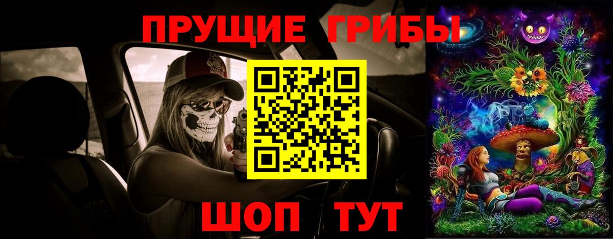 Галлюциногенные грибы Cubensis Кизляр